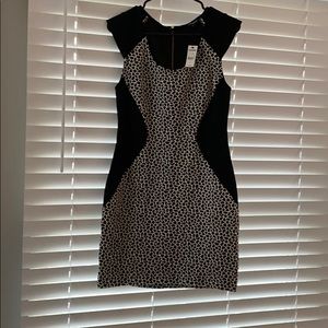 Black & White Express dress